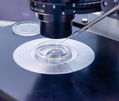 Assisted Reproduction Lab
